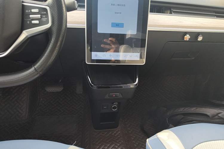 Used NETA V 2021 Standard Range Entertainment Edition Audio And AC Panel