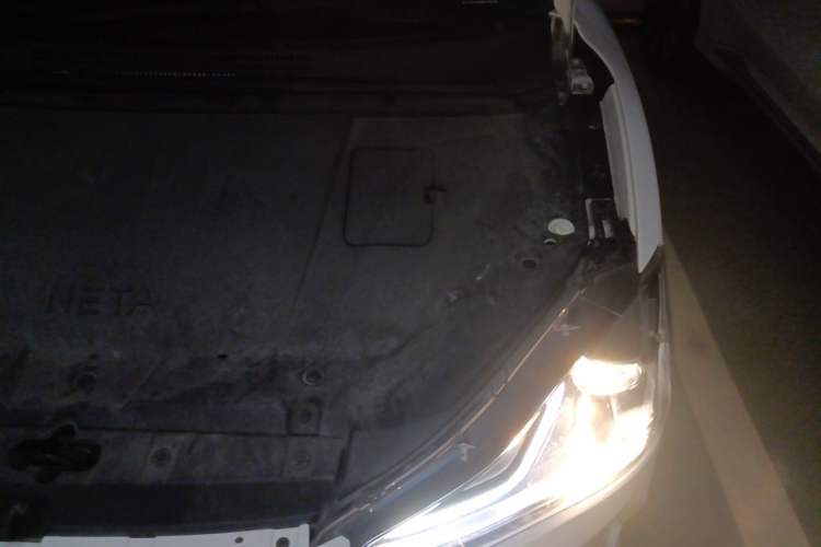 Used NETA V 2021 Long-Range Entertainment Edition Upgrade Model Engine Bay Left