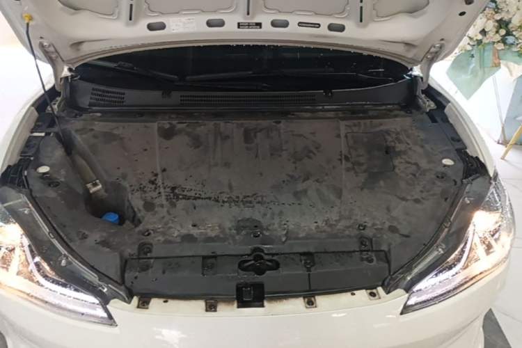 Used NETA V 2021 Long-Range Entertainment Edition Upgrade Model Engine Bay