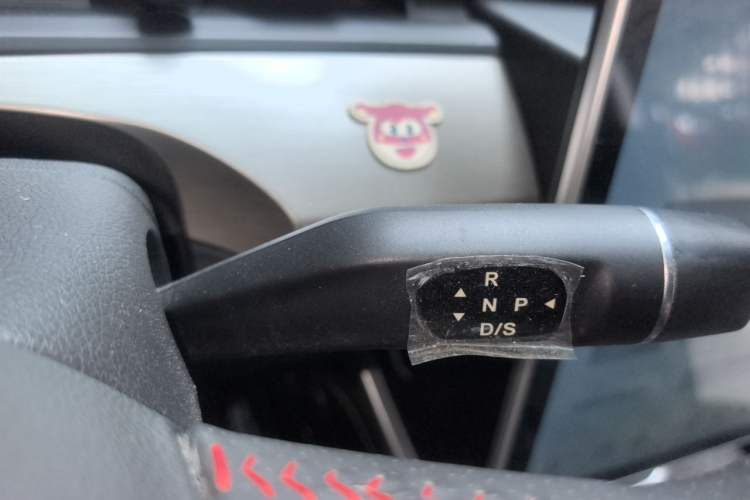 Used NETA V 2021 Long-Range Entertainment Edition Upgrade Model Gear Lever