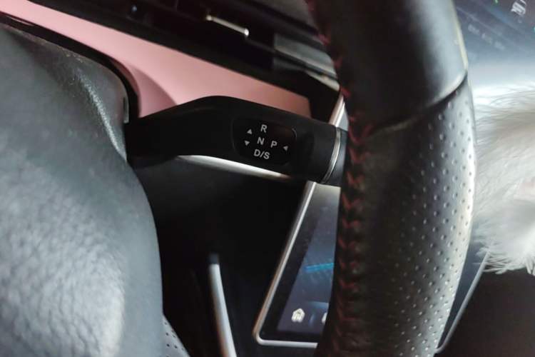 Used NETA V 2021 Long-Range Entertainment Edition Upgrade Model Gear Lever