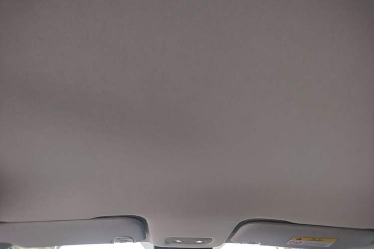 Used NETA V 2021 Standard Range Entertainment Version – Upgraded Model Headliner