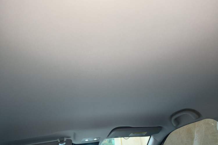Used NETA V 2021 Standard Range Entertainment Version – Upgraded Model Headliner