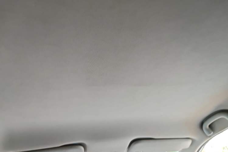 Used NETA V 2021 Long-Range Entertainment Edition Upgrade Model Headliner