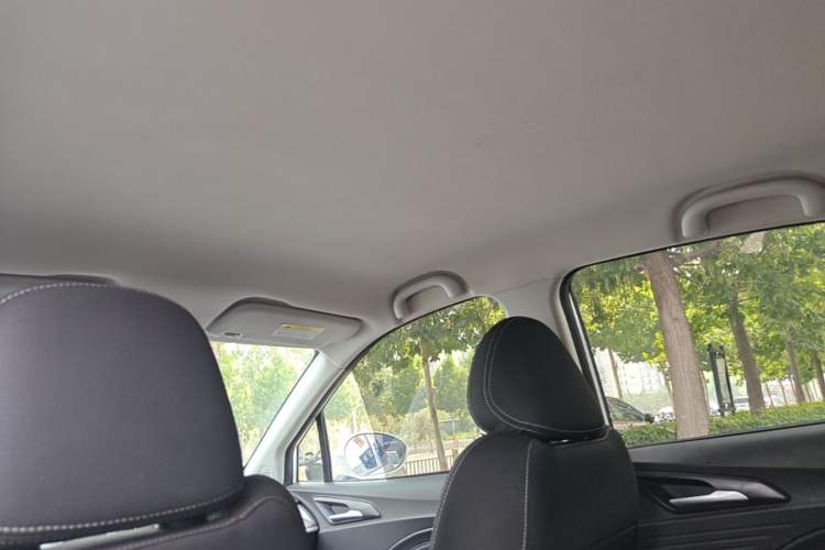 Used NETA V 2021 Standard Range Entertainment Version – Upgraded Model Headliner