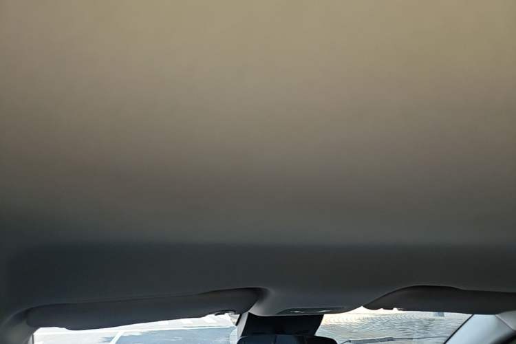 Used NETA V 2021 Long-Range Entertainment Edition Upgrade Model Headliner