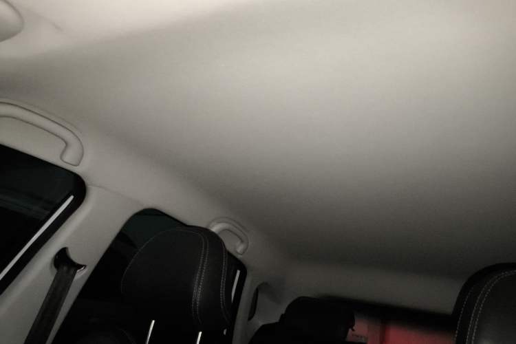 Used NETA V 2021 Ride-Hailing Custom Edition Headliner