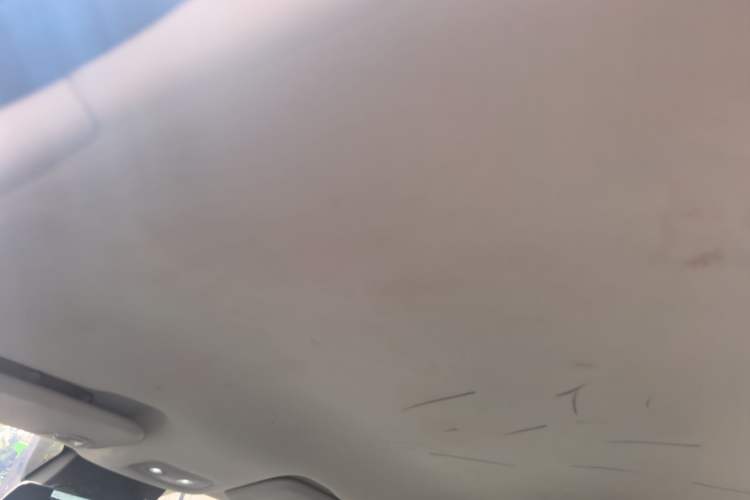 Used NETA V 2021 Long-Range Entertainment Edition Headliner