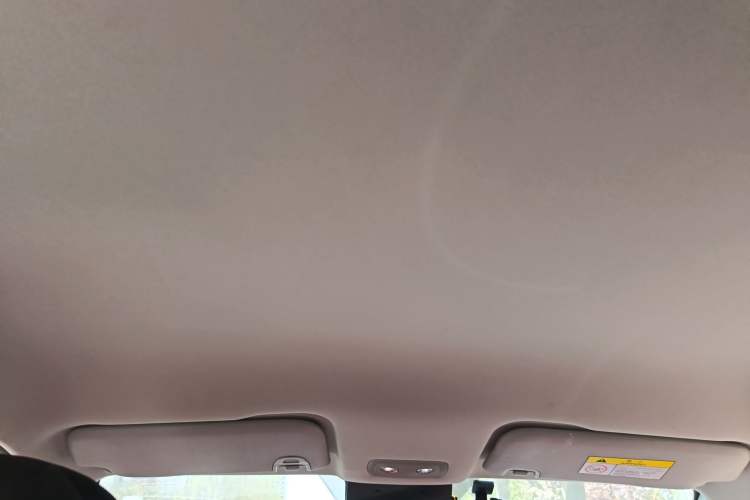 Used NETA V 2021 Long-Range Entertainment Edition Upgrade Model Headliner