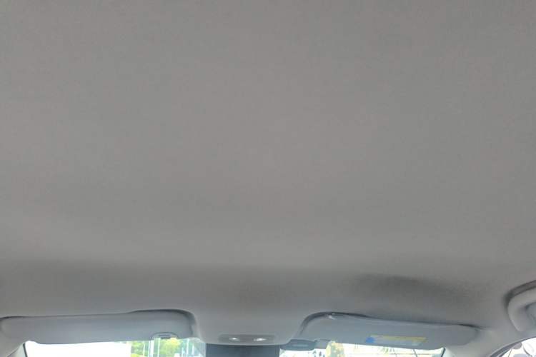 Used NETA V 2021 Long-Range Entertainment Edition Upgrade Model Headliner