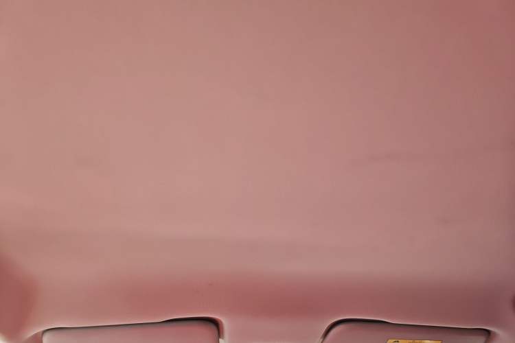 Used NETA V 2021 Standard Range Entertainment Version – Upgraded Model Headliner