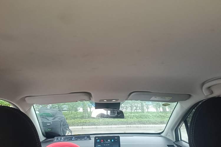 Used NETA V 2021 Standard Range Entertainment Version – Upgraded Model Headliner
