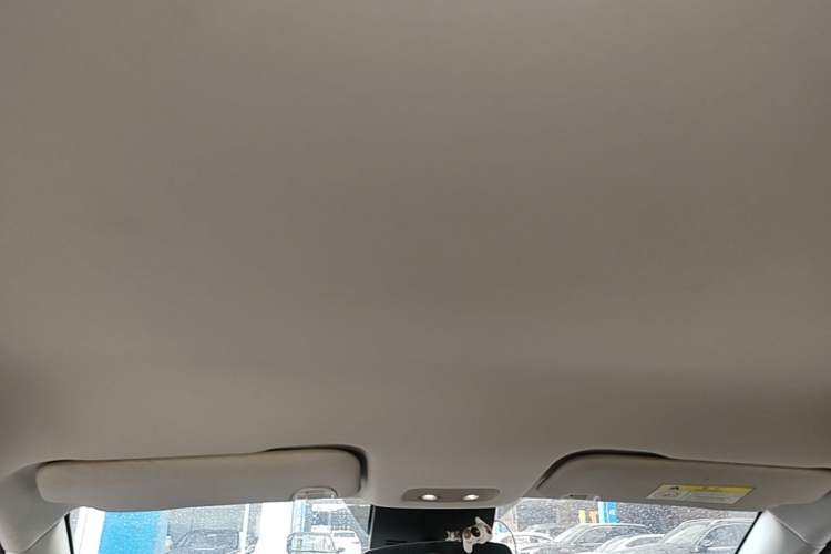 Used NETA V 2021 Long-Range Entertainment Edition Upgrade Model Headliner