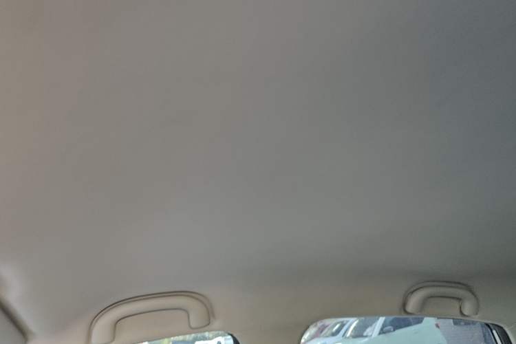 Used NETA V 2021 Long-Range Entertainment Edition Upgrade Model Headliner