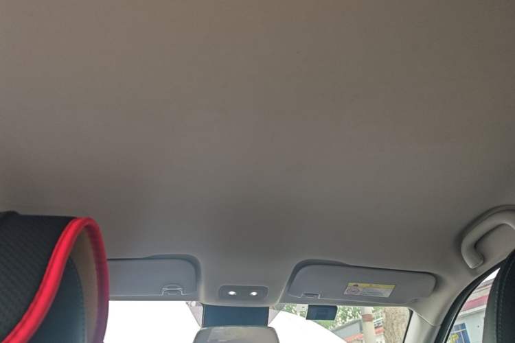 Used NETA V 2021 Standard Range Entertainment Version – Upgraded Model Headliner