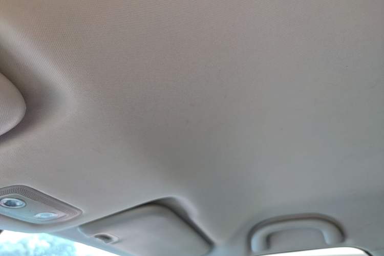 Used NETA V 2021 Long-Range Smart Edition Headliner