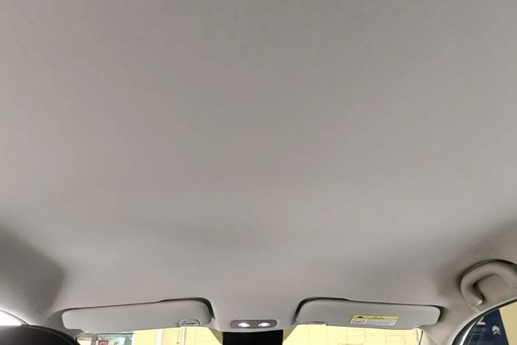 Used NETA V 2021 Standard Range Entertainment Edition Headliner