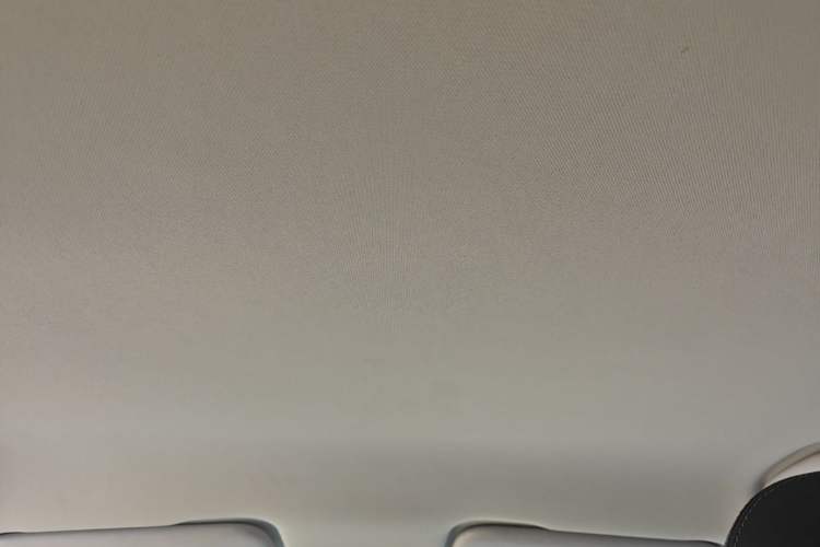 Used NETA V 2021 Long-Range Industry Custom Edition Headliner