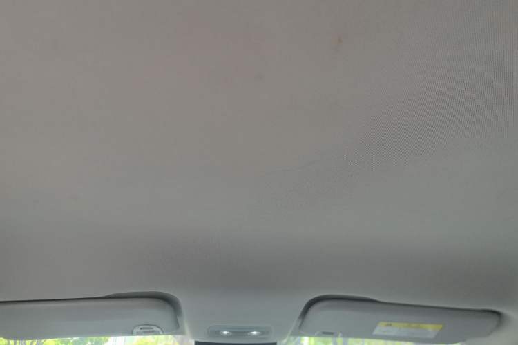 Used NETA V 2021 Long-Range Entertainment Edition Upgrade Model Headliner