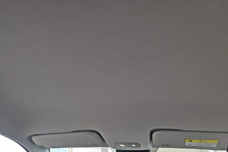 Used NETA V 2021 Standard Range Industry Custom Edition Headliner