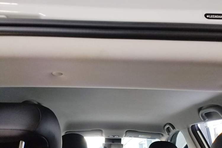 Used NETA V 2021 Long-Range Entertainment Edition Upgrade Model Headliner