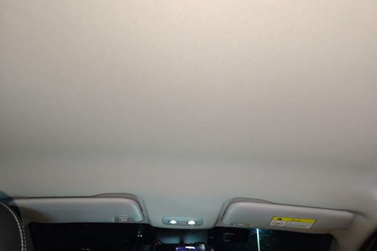 Used NETA V 2021 Long-Range Entertainment Edition Upgrade Model Headliner