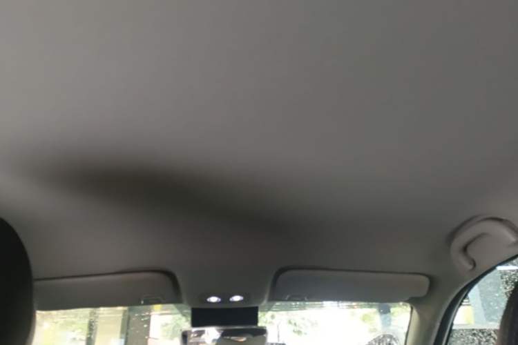 Used NETA V 2021 Long-Range Entertainment Edition Upgrade Model Headliner