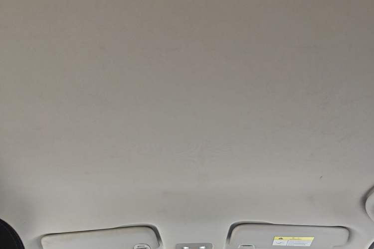 Used NETA V 2021 Standard Range Entertainment Version – Upgraded Model Headliner