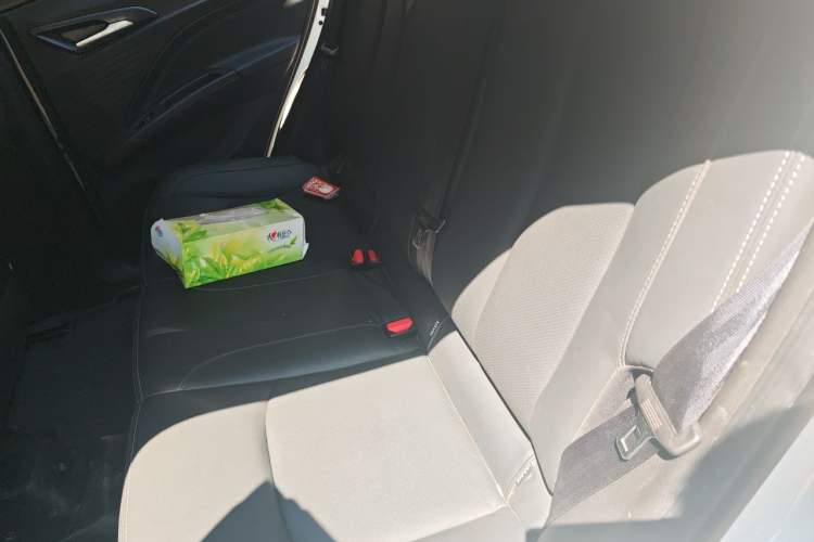 Used NETA V 2021 Long-Range Smart Edition Upgrade Model Left Rear Seat