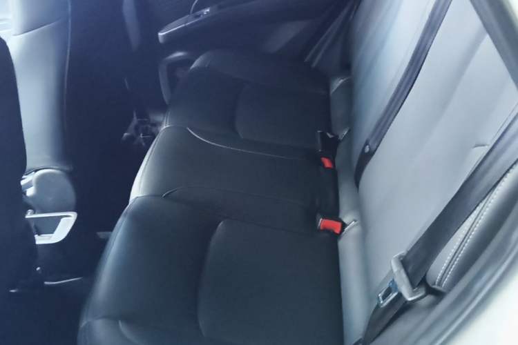 Used NETA V 2021 Long-Range Entertainment Edition Upgrade Model Left Rear Seat