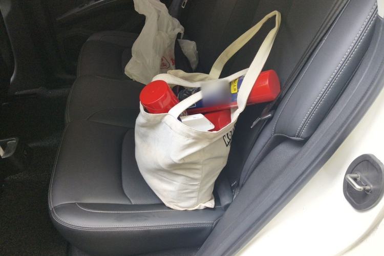 Used NETA V 2021 Long-Range Entertainment Edition Left Rear Seat