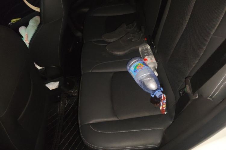 Used NETA V 2021 Long-Range Entertainment Edition Upgrade Model Left Rear Seat