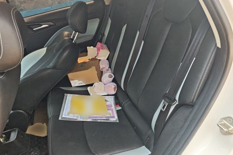 Used NETA V 2021 Long-Range Industry Custom Edition Left Rear Seat