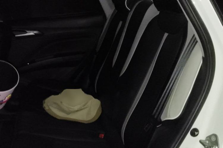 Used NETA V 2021 Long-Range Entertainment Edition Upgrade Model Left Rear Seat
