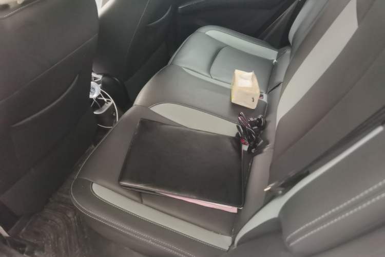 Used NETA V 2021 Long-Range Entertainment Edition Left Rear Seat