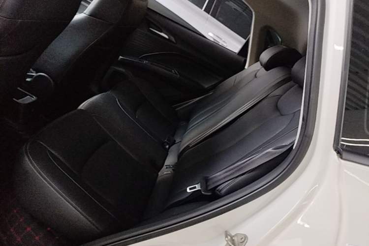Used NETA V 2021 Long-Range Entertainment Edition Upgrade Model Left Rear Seat