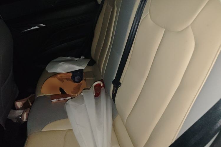 Used NETA V 2021 Standard Range Entertainment Version – Upgraded Model Left Rear Seat