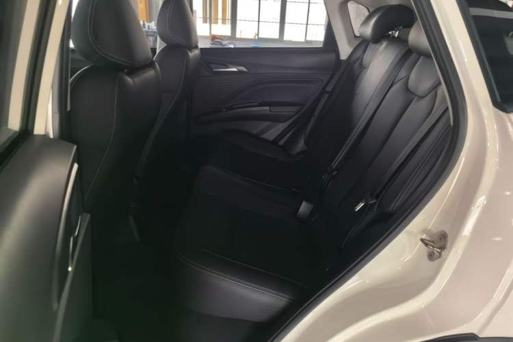 Used NETA V 2021 Long-Range Entertainment Edition Upgrade Model Left Rear Seat
