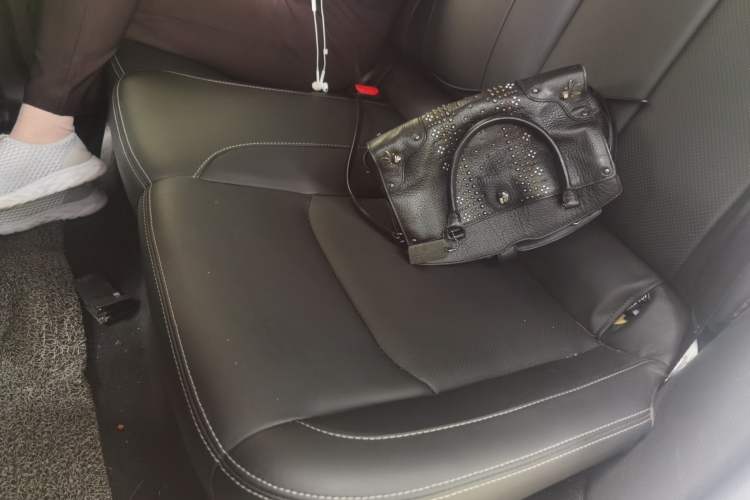 Used NETA V 2021 Long-Range Entertainment Edition Left Rear Seat