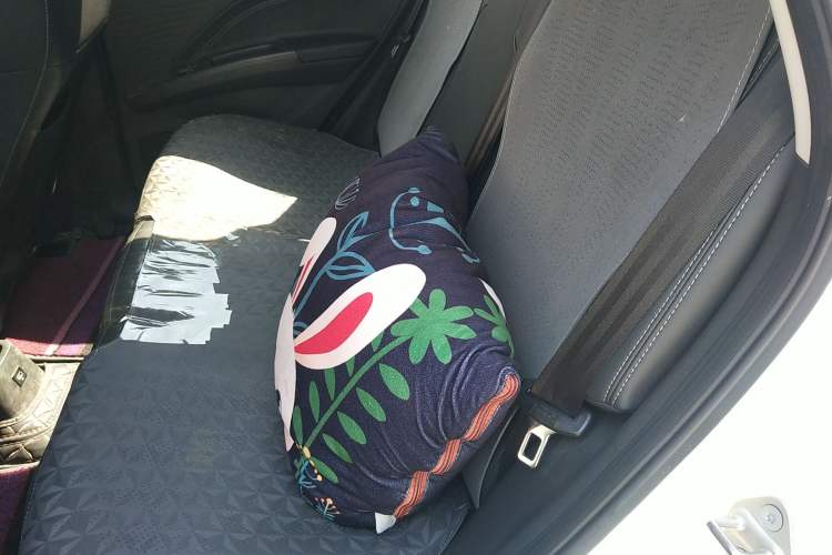 Used NETA V 2021 Long-Range Entertainment Edition Upgrade Model Left Rear Seat