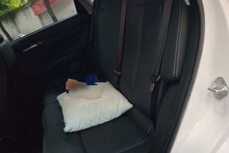 Used NETA V 2021 Long-Range Entertainment Edition Upgrade Model Left Rear Seat