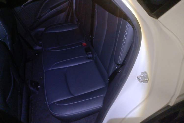 Used NETA V 2021 Long-Range Entertainment Edition Upgrade Model Left Rear Seat