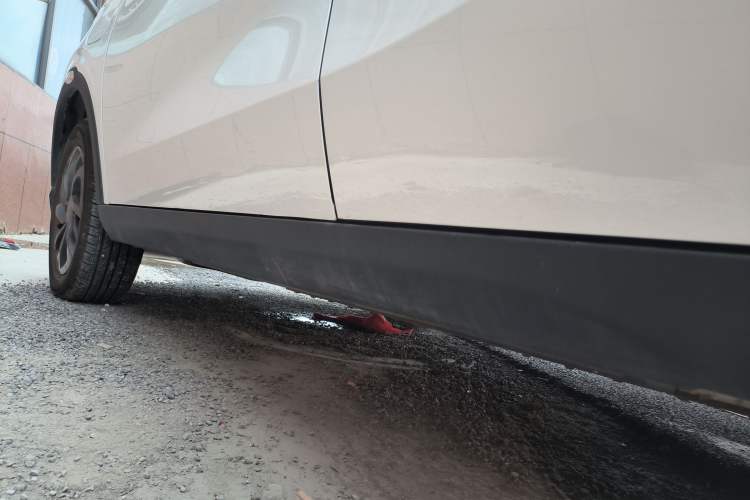Used NETA V 2021 Standard Range Entertainment Version – Upgraded Model Left Side Sill