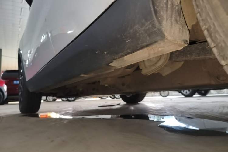 Used NETA V 2021 Long-Range Smart Edition Upgrade Model Left Side Sill