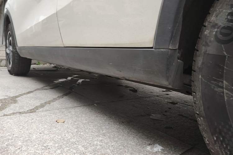 Used NETA V 2021 Long-Range Entertainment Edition Left Side Sill