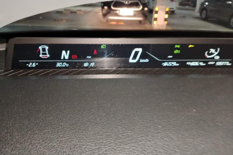 Used NETA V 2021 Standard Range Version Odometer Close Up