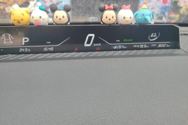 Used NETA V 2021 Long-Range Entertainment Edition Upgrade Model Odometer Close Up