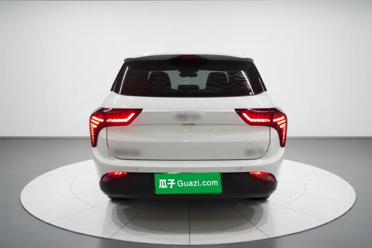 Used NETA V 2021 Long-Range Entertainment Edition Rear