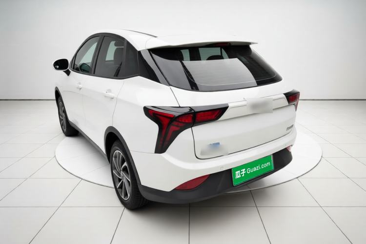 Used NETA V 2021 Standard Range Version Rear Left 45 Deg