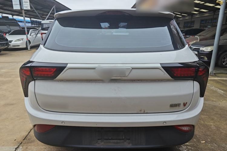 Used NETA V 2021 Long-Range Industry Custom Edition Rear